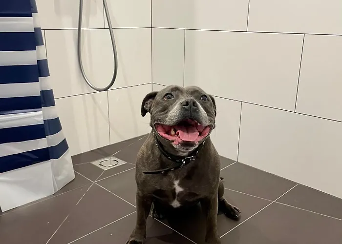 Aurum Aparthotel Riga