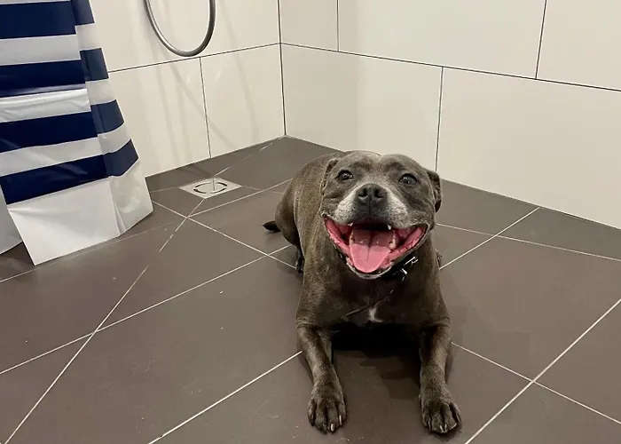 Aparthotel Aurum Riga