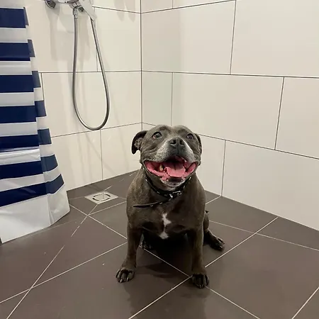 Aurum Apartmanhotel Riga