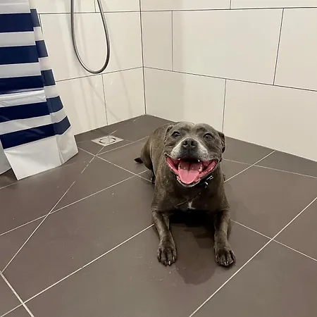 Aparthotel Aurum Riga